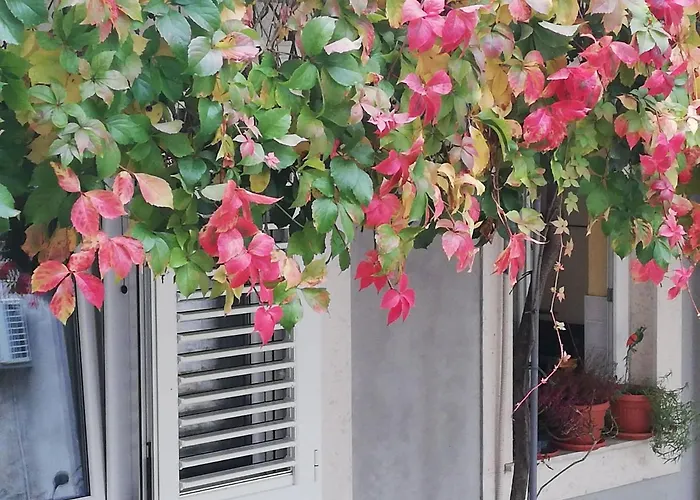 Lenka Apartament Split