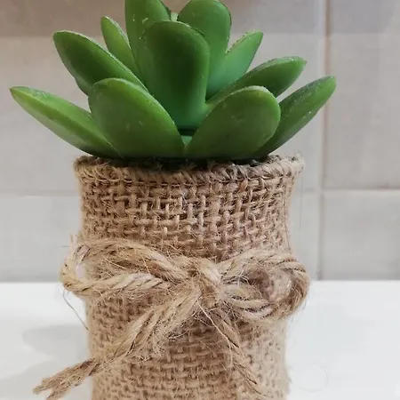 Lenka Апартаменты