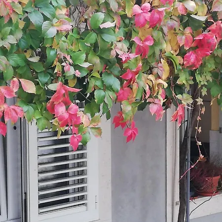 Lenka Апартаменты Сплит