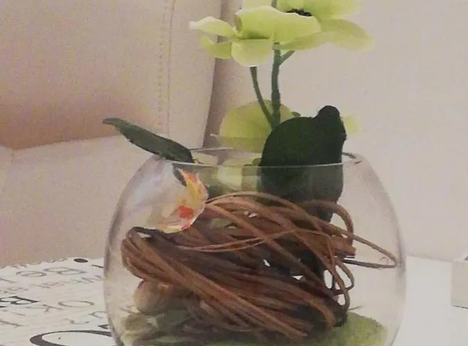 Lenka Апартаменты